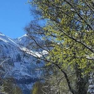 Meet your Posher, Dorothy